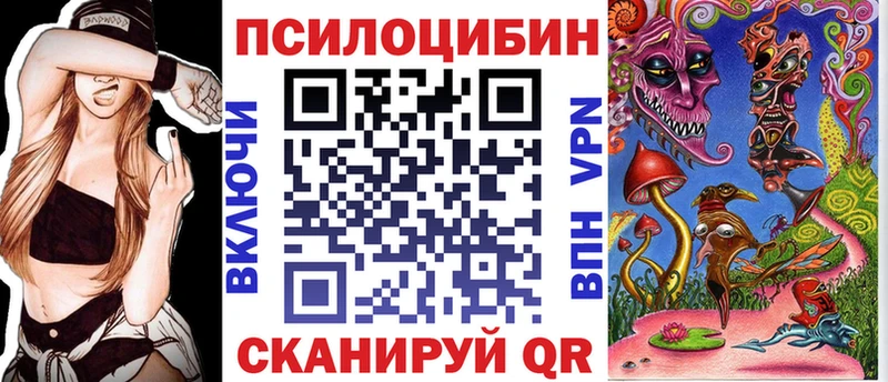 Галлюциногенные грибы Psilocybe  KRAKEN ССЫЛКА  Навашино 